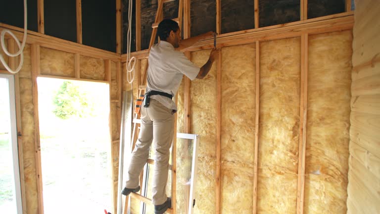 Best Soundproof Insulation  in Grayvle, IL